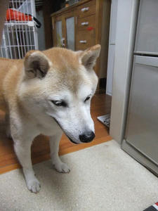 DSCF2652.JPG
