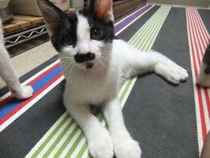 DSCF2649.JPG