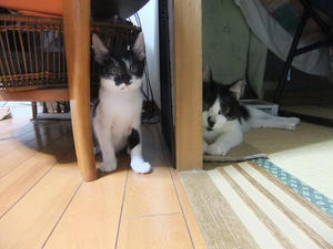 DSCF2618.JPG