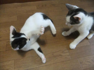 DSCF2587.JPG