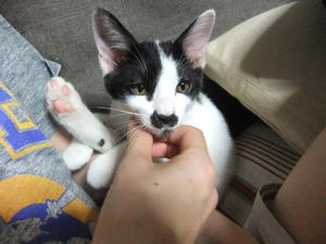 DSCF2707.JPG