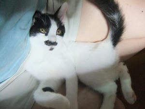 DSCF2792.JPG