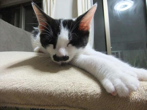 DSCF2624.JPG