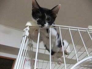 DSCF2679.JPG