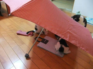 DSCF2872.JPG