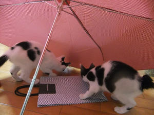 DSCF2871.JPG