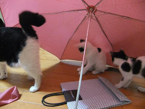 DSCF2870.JPG