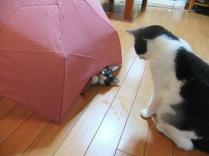 DSCF2878.JPG