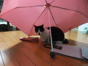 DSCF2867.JPG
