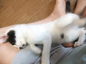 DSCF2584.JPG