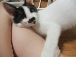 DSCF2494.JPG
