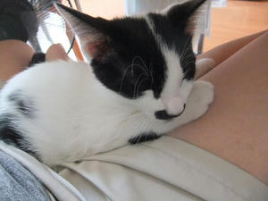 DSCF2768.JPG