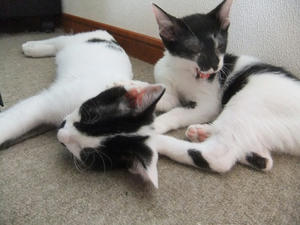 DSCF2771.JPG