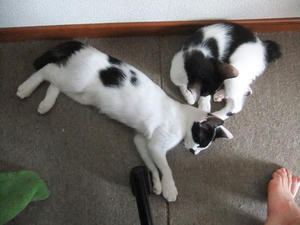 DSCF2769.JPG
