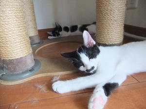 DSCF2701.JPG