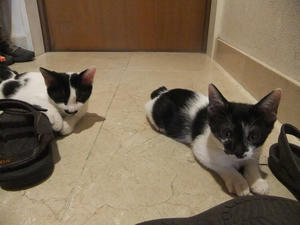DSCF2804.JPG