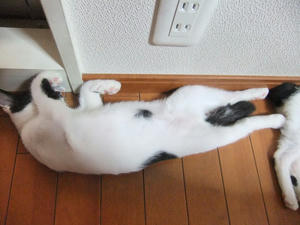 DSCF2938.JPG