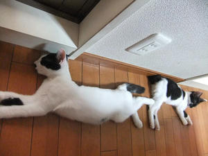 DSCF2939.JPG