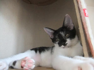 DSCF2950.JPG