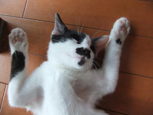 DSCF2743.JPG