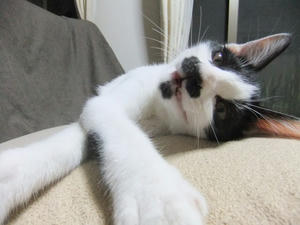 DSCF2776.JPG