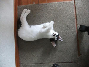 DSCF2764.JPG