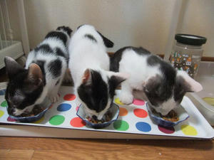 DSCF2468.JPG