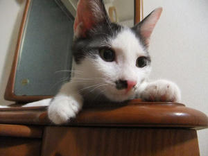 DSCF2607.JPG