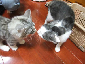 DSCF2722.JPG