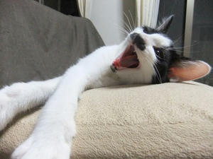 DSCF2773.JPG