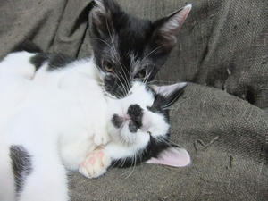DSCF2820.JPG