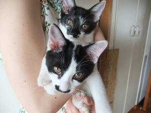 DSCF2893.JPG