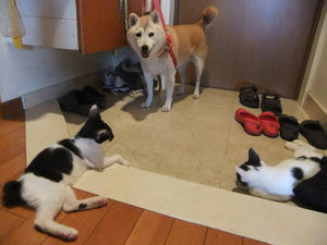 DSCF2884.JPG