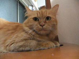 DSCF1787.JPG