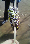 200711031224000.jpg
