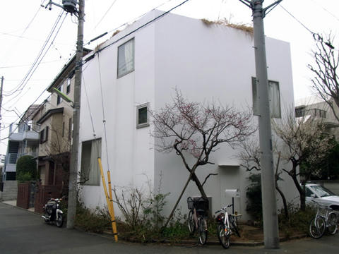 umebayasi1.jpg