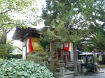 CA340027.jpg