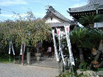 CA340029.jpg