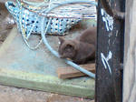 CA340056.jpg