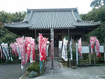 CA340063.jpg