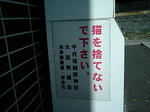 CA340002.JPG