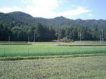 CA340017a.jpg