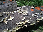 CA340037.JPG
