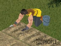 812628c4.jpg