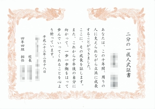 20110218halfSeijinsiki