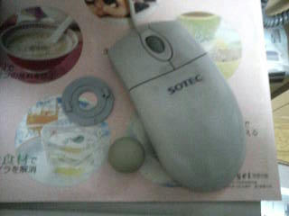 mouse.JPG
