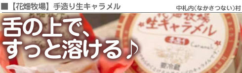 hanabatake.JPG