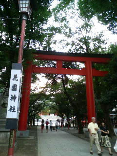 hanazono.jpg