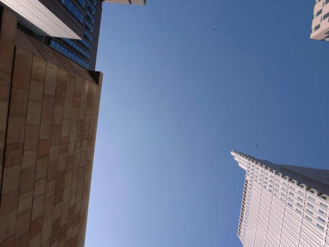 頭の上