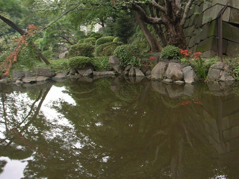 水辺